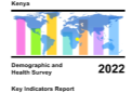 Kenya Demographic & Health Survey Visualizations